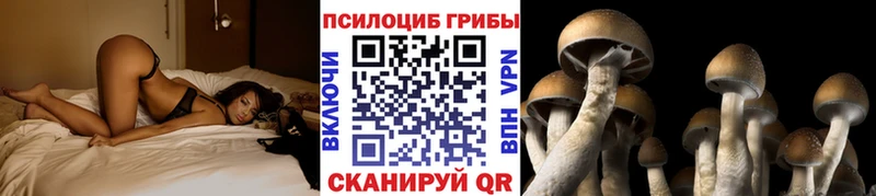 Галлюциногенные грибы Cubensis OMG ONION Свободный